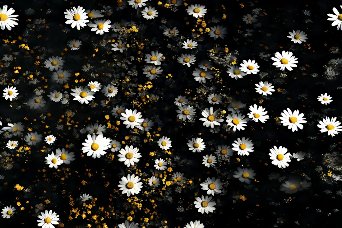 NACOS 2.3.2适配瀚高数据库